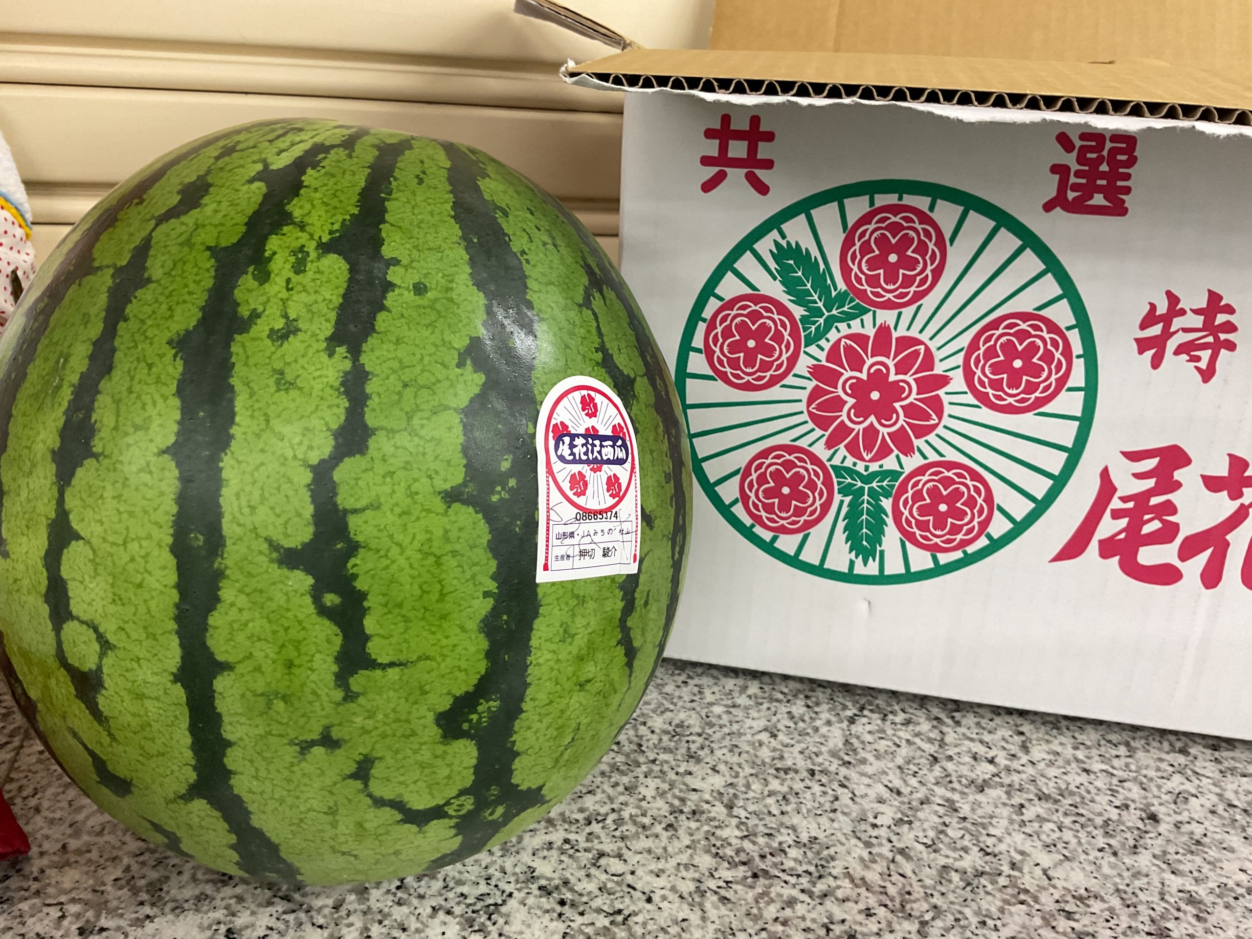 🌟デイサービス🌟　スイカ割り🍉サムネイル