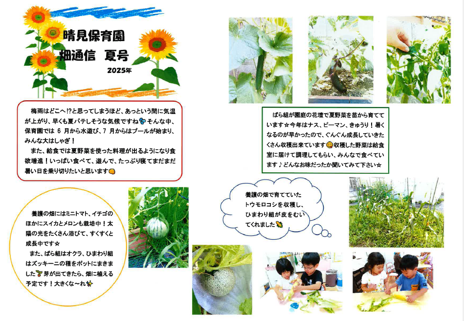 🍆🍅令和7年　畑通信　夏号🍅🍆サムネイル
