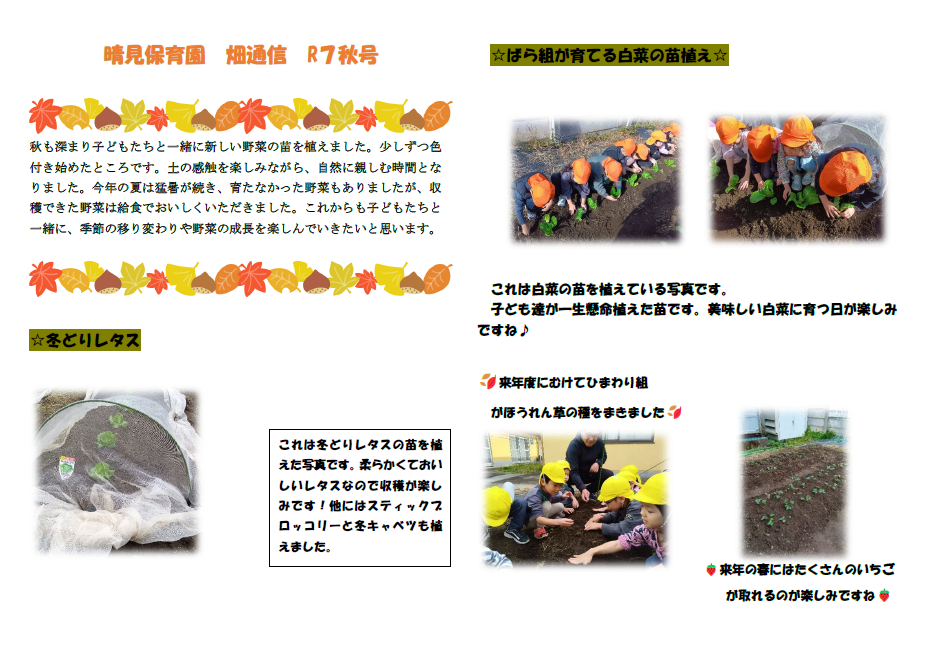 🍀晴見保育園🍠畑通信・秋号🍀サムネイル